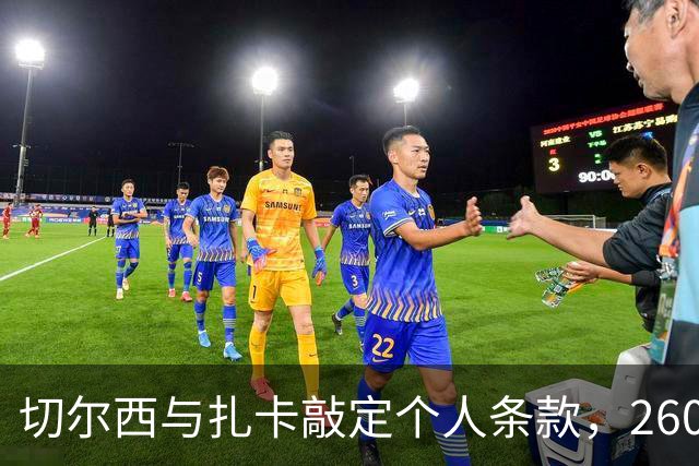 切尔西与扎卡敲定个人条款，2600万镑报价等待桑德兰放行
